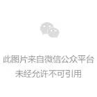 湖州看见阳光就忧郁的植物
