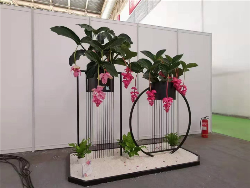 湖州花架组合
