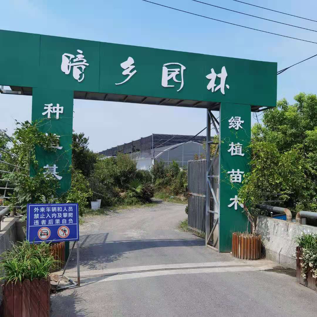 湖州暗乡园林怎么样-绿植租赁